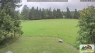 Archiv Foto Webcam Todtnauberg - Scheuermattwiese 15:00