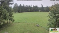 Archiv Foto Webcam Todtnauberg - Scheuermattwiese 05:00