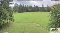 Archiv Foto Webcam Todtnauberg - Scheuermattwiese 11:00