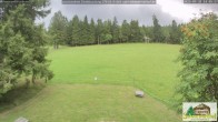 Archiv Foto Webcam Todtnauberg - Scheuermattwiese 13:00