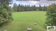Archiv Foto Webcam Todtnauberg - Scheuermattwiese 17:00