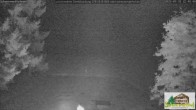 Archived image Webcam Todtnauberg - Scheuermatthof 21:00