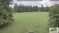Archiv Foto Webcam Todtnauberg - Scheuermattwiese 05:00