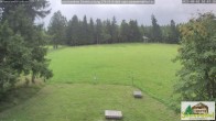 Archiv Foto Webcam Todtnauberg - Scheuermattwiese 09:00