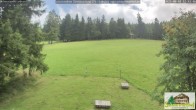 Archiv Foto Webcam Todtnauberg - Scheuermattwiese 11:00