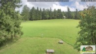 Archiv Foto Webcam Todtnauberg - Scheuermattwiese 15:00