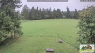 Archiv Foto Webcam Todtnauberg - Scheuermattwiese 19:00