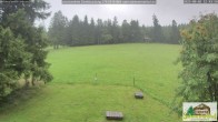 Archiv Foto Webcam Todtnauberg - Scheuermattwiese 11:00