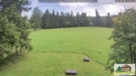 Archiv Foto Webcam Todtnauberg - Scheuermattwiese 13:00
