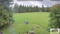 Archiv Foto Webcam Todtnauberg - Scheuermattwiese 17:00