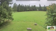 Archiv Foto Webcam Todtnauberg - Scheuermattwiese 06:00