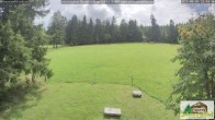 Archiv Foto Webcam Todtnauberg - Scheuermattwiese 11:00