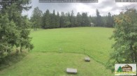 Archiv Foto Webcam Todtnauberg - Scheuermattwiese 13:00