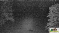 Archiv Foto Webcam Todtnauberg - Scheuermattwiese 23:00