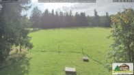 Archiv Foto Webcam Todtnauberg - Scheuermattwiese 09:00