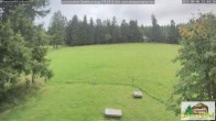 Archiv Foto Webcam Todtnauberg - Scheuermattwiese 11:00