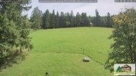 Archiv Foto Webcam Todtnauberg - Scheuermattwiese 13:00