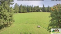 Archiv Foto Webcam Todtnauberg - Scheuermattwiese 15:00