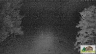 Archiv Foto Webcam Todtnauberg - Scheuermattwiese 01:00