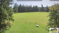 Archived image Webcam Todtnauberg - Scheuermatthof 11:00