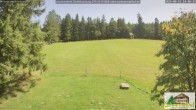 Archived image Webcam Todtnauberg - Scheuermatthof 13:00