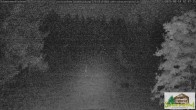 Archiv Foto Webcam Todtnauberg - Scheuermattwiese 01:00