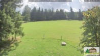 Archiv Foto Webcam Todtnauberg - Scheuermattwiese 11:00