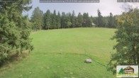 Archived image Webcam Todtnauberg - Scheuermatthof 15:00