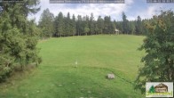 Archived image Webcam Todtnauberg - Scheuermatthof 17:00
