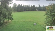 Archiv Foto Webcam Todtnauberg - Scheuermattwiese 05:00