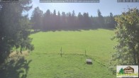 Archiv Foto Webcam Todtnauberg - Scheuermattwiese 09:00