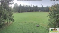 Archiv Foto Webcam Todtnauberg - Scheuermattwiese 05:00