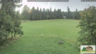 Archiv Foto Webcam Todtnauberg - Scheuermattwiese 06:00