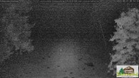 Archiv Foto Webcam Todtnauberg - Scheuermattwiese 23:00