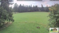 Archiv Foto Webcam Todtnauberg - Scheuermattwiese 05:00