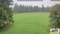 Archiv Foto Webcam Todtnauberg - Scheuermattwiese 05:00