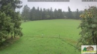 Archiv Foto Webcam Todtnauberg - Scheuermattwiese 08:00