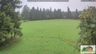 Archiv Foto Webcam Todtnauberg - Scheuermattwiese 09:00