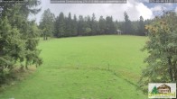 Archiv Foto Webcam Todtnauberg - Scheuermattwiese 11:00