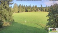 Archiv Foto Webcam Todtnauberg - Scheuermattwiese 15:00