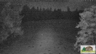 Archiv Foto Webcam Todtnauberg - Scheuermattwiese 01:00