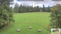 Archiv Foto Webcam Todtnauberg - Scheuermattwiese 14:00