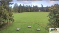 Archiv Foto Webcam Todtnauberg - Scheuermattwiese 16:00