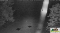 Archiv Foto Webcam Todtnauberg - Scheuermattwiese 01:00