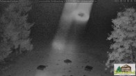 Archiv Foto Webcam Todtnauberg - Scheuermattwiese 03:00