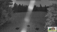 Archiv Foto Webcam Todtnauberg - Scheuermattwiese 05:00