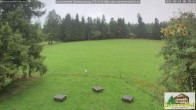 Archiv Foto Webcam Todtnauberg - Scheuermattwiese 07:00