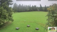 Archiv Foto Webcam Todtnauberg - Scheuermattwiese 08:00