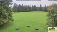 Archiv Foto Webcam Todtnauberg - Scheuermattwiese 09:00
