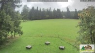 Archiv Foto Webcam Todtnauberg - Scheuermattwiese 11:00